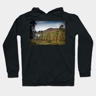 Glentrool Photograph Dumfries and Galloway Hoodie